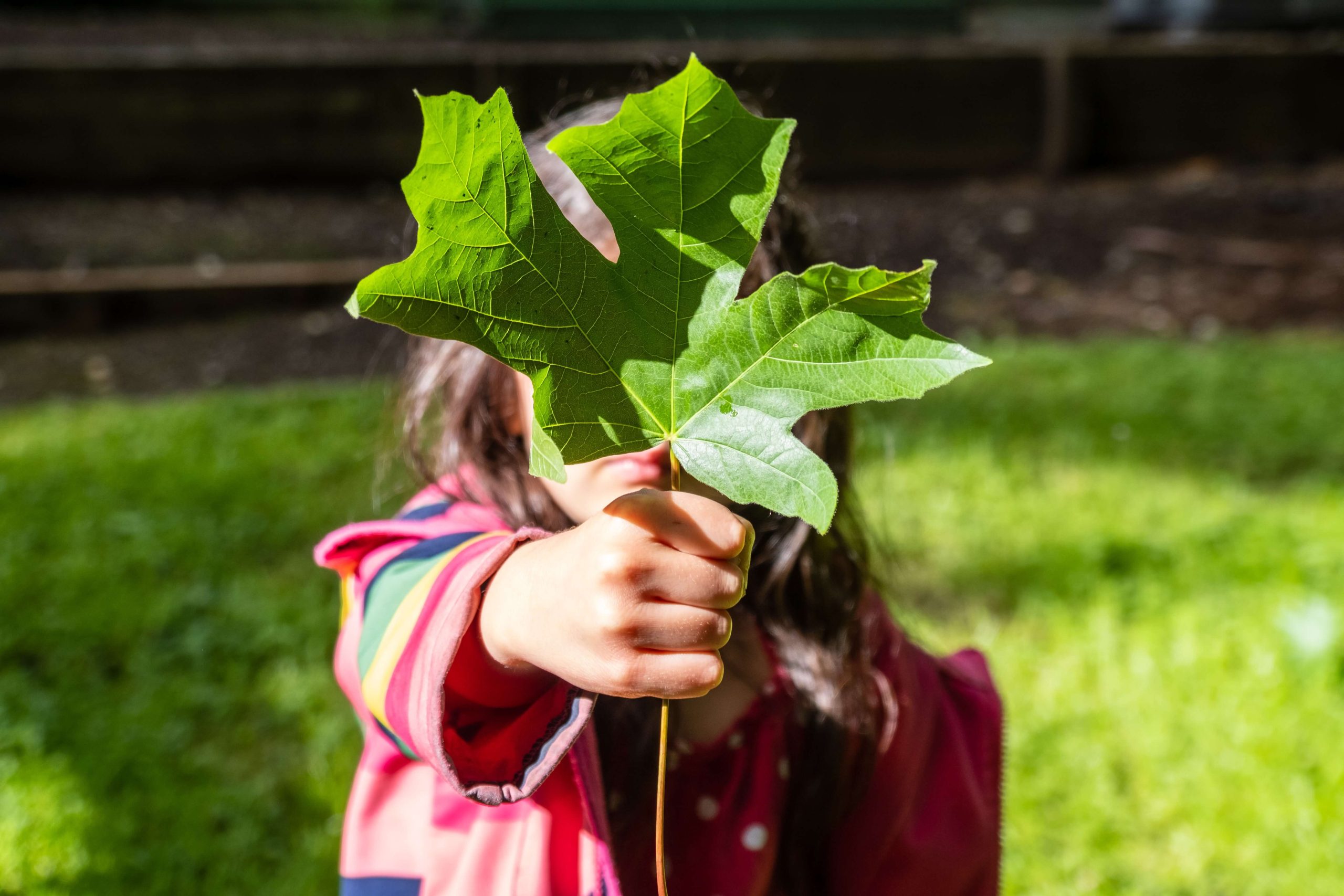 Préserver l’environnement : à la base de toutes nos actions